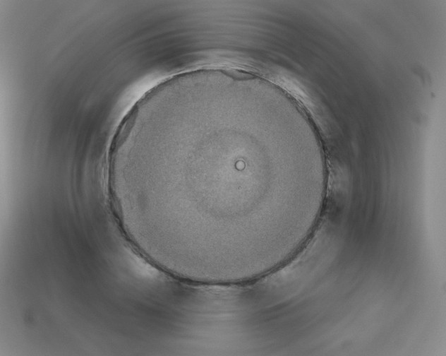 X0000113040836200910081209