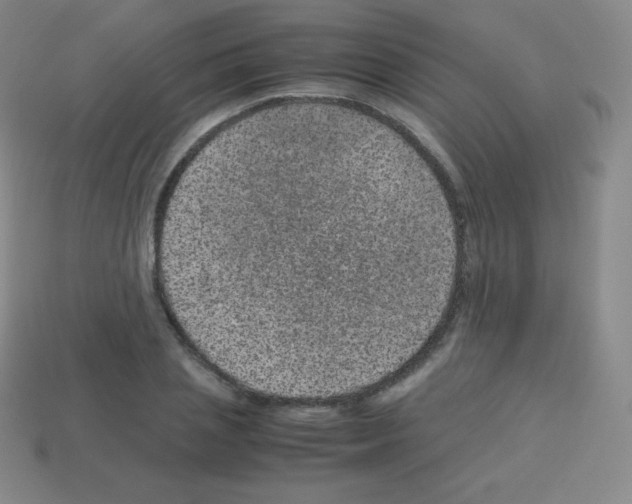 X0000113040837200910081209