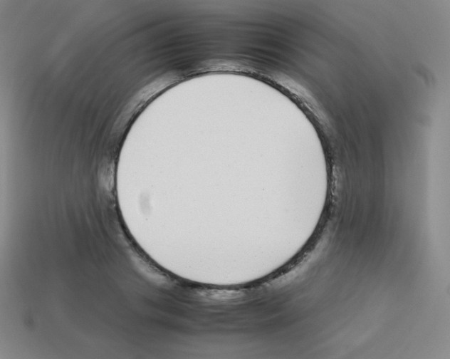 X0000113040841200910081209