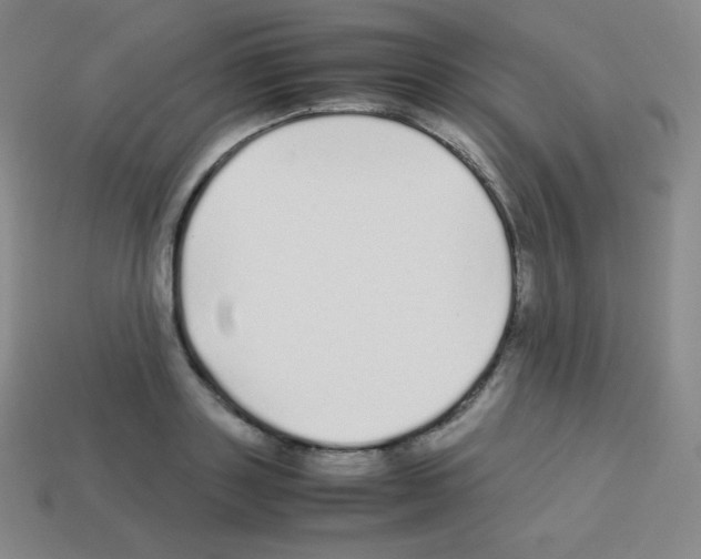 X0000113040843200910081209