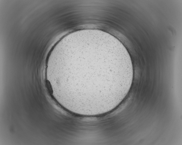 X0000113040844200910081209