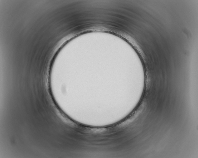 X0000113040845200910081209