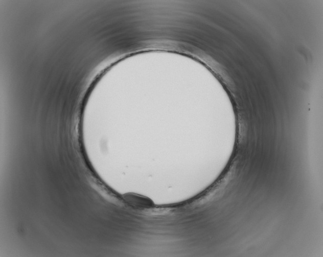 X0000113040846200910081209