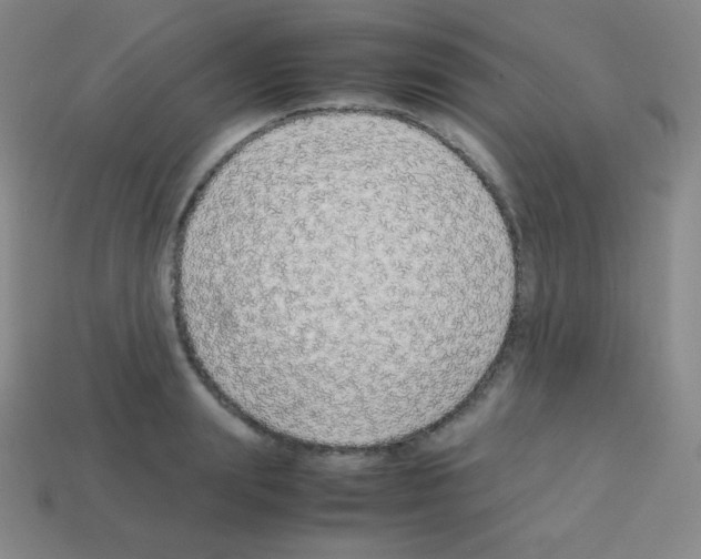 X0000113040847200910081209