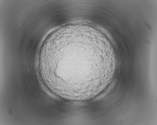 X0000113040848200910081209