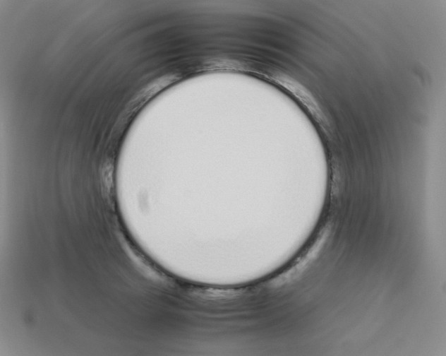 X0000113040849200910081209