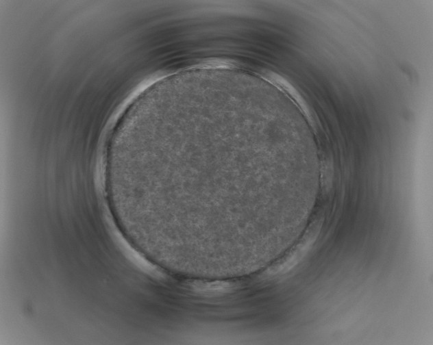 X0000113040851200910081209