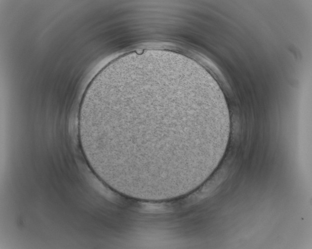 X0000113040852200910081209
