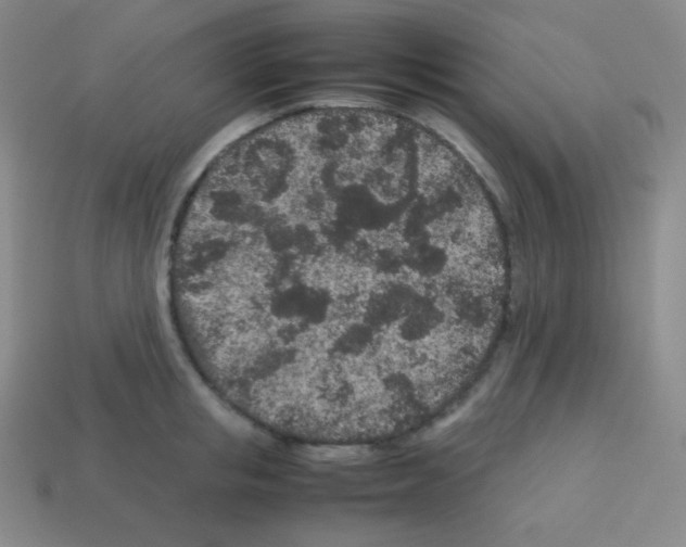 X0000113040853200910081209