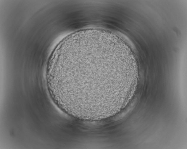 X0000113040855200910081209