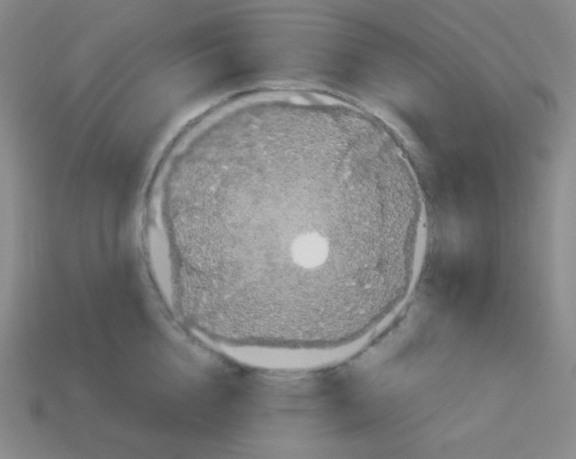 X0000113040856200910081209