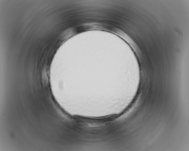 X0000113040857200910081209