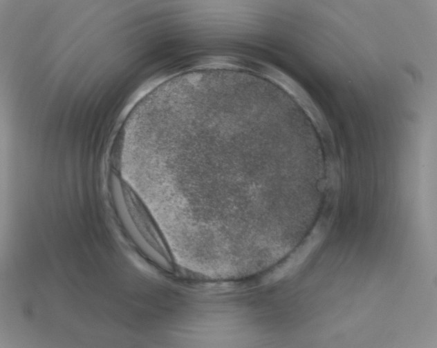 X0000113040858200910081209