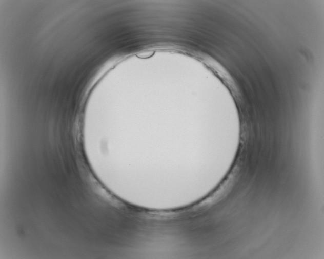 X0000113040860200910081209