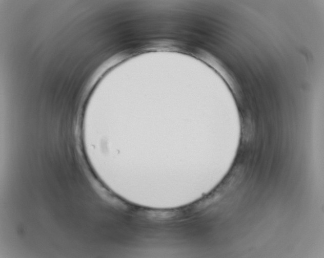X0000113040861200910081209