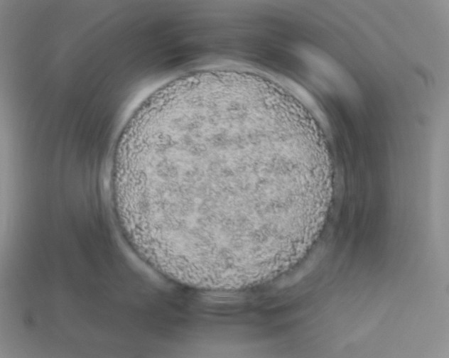 X0000113040863200910081210