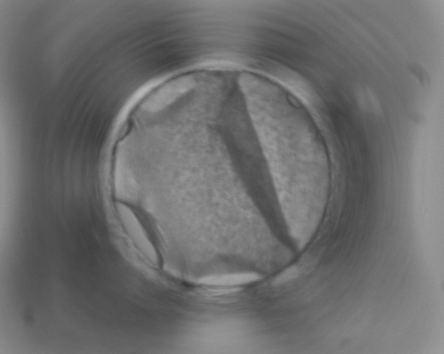 X0000113040864200910081210