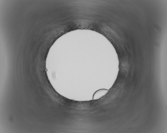 X0000113040865200910081209