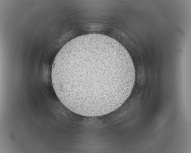 X0000113040866200910081209