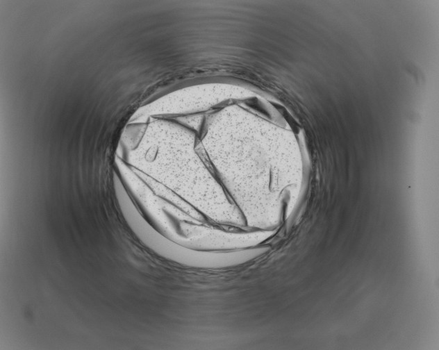 X0000113040868200910081209