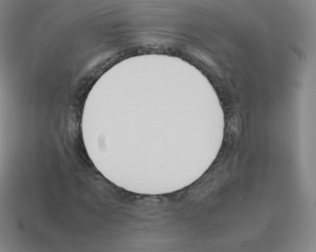 X0000113040869200910081209