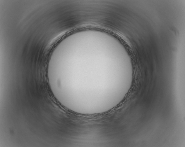 X0000113040872200910081209