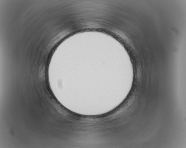 X0000113040873200910081209