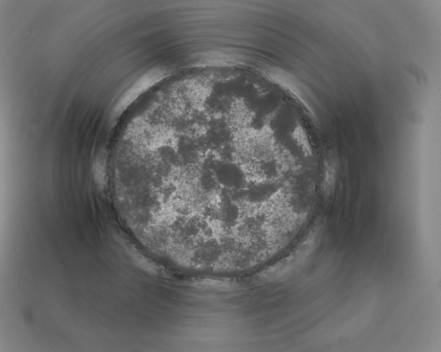 X0000113040874200910081209