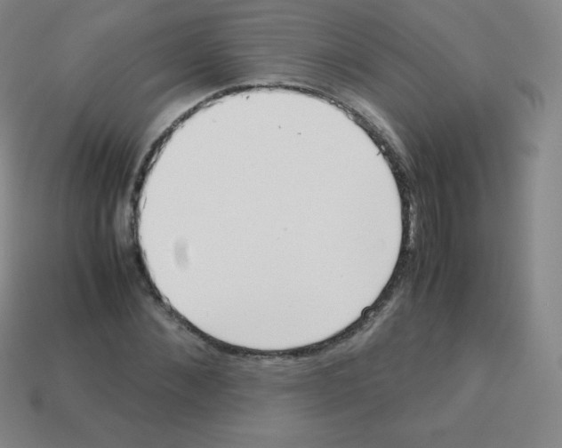 X0000113040876200910081209