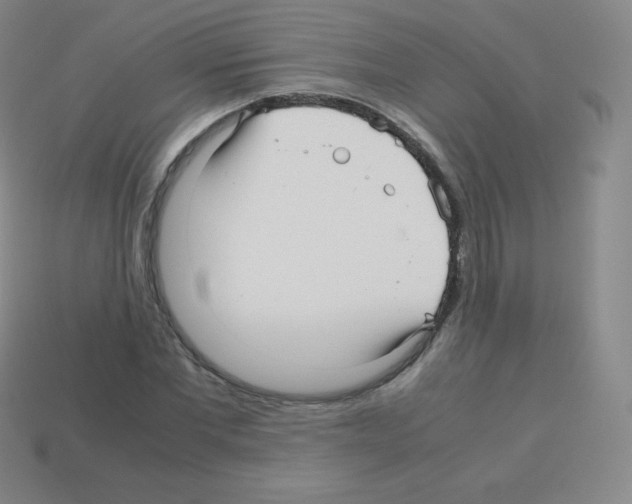 X0000113040877200910081209