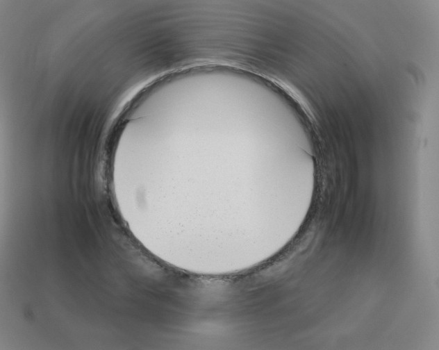 X0000113040878200910081209
