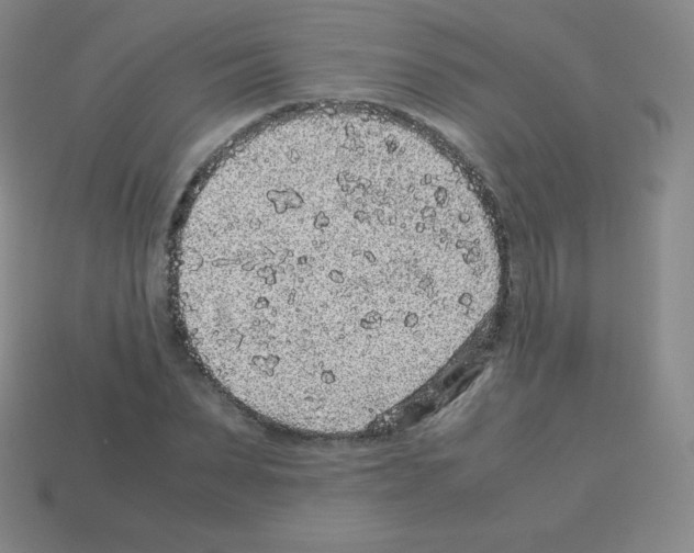 X0000113040879200910081209