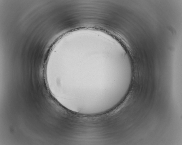X0000113040880200910081209