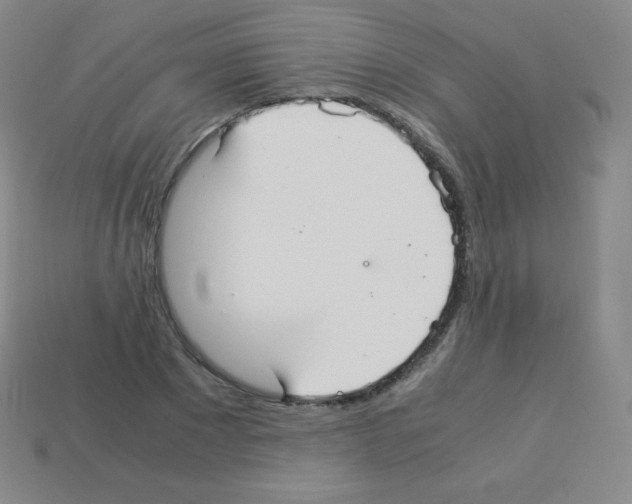 X0000113040881200910081209