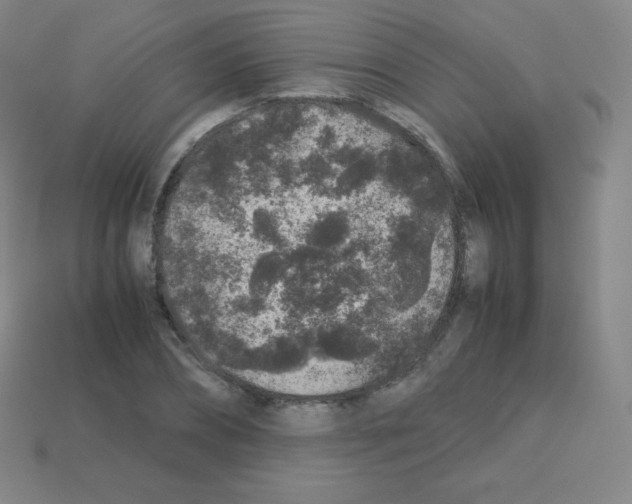 X0000113040882200910081209