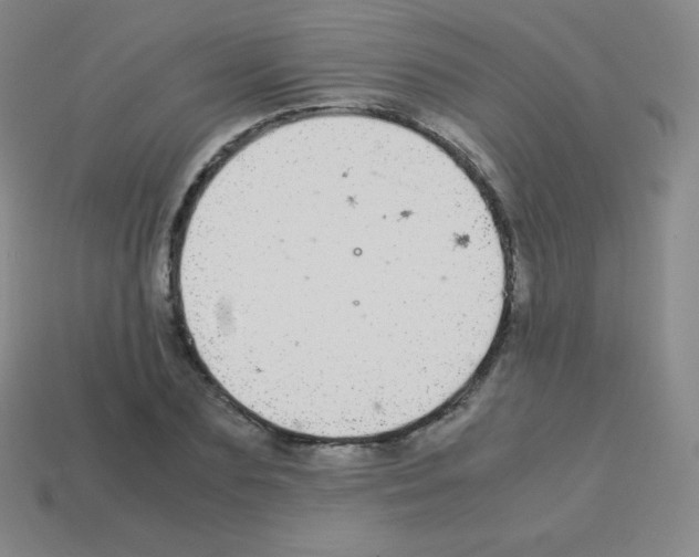 X0000113040883200910081208