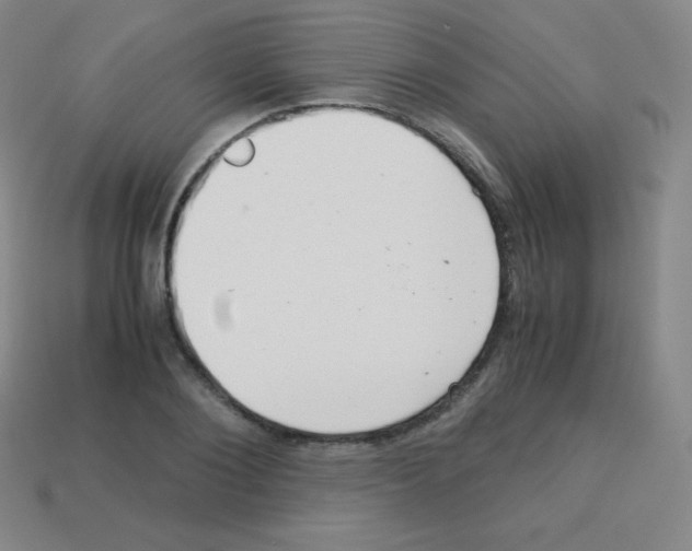 X0000113040884200910081208