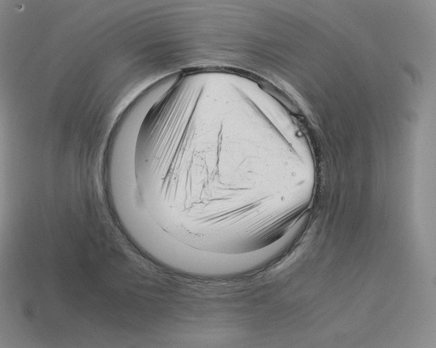 X0000113040885200910081208