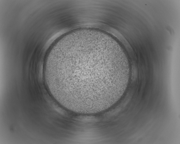 X0000113040886200910081208