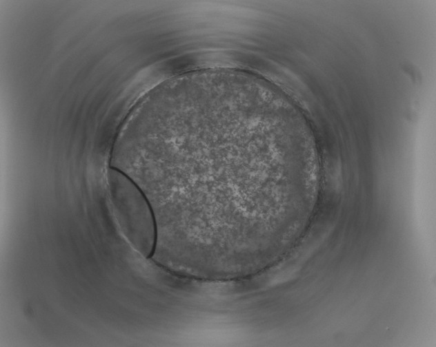 X0000113040889200910081208