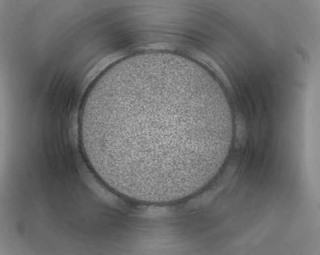 X0000113040890200910081208