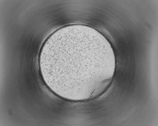 X0000113040892200910081208