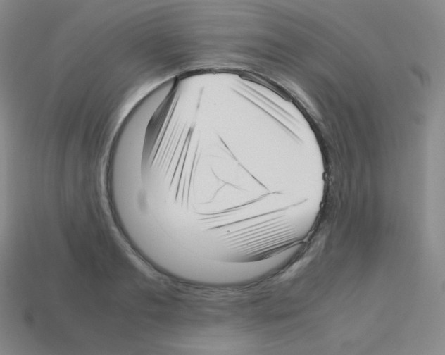 X0000113040893200910081208