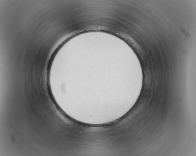X0000113040894200910081208