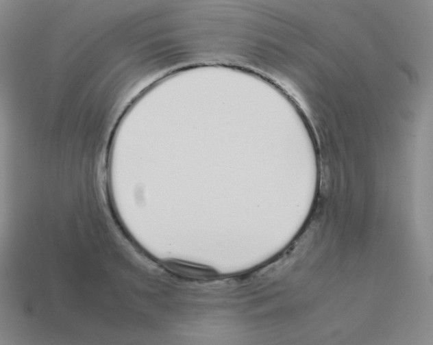 X0000113040895200910081208