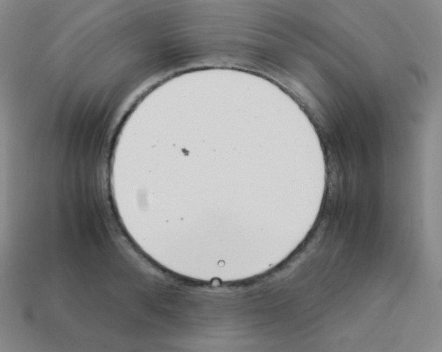 X0000113040896200910081208