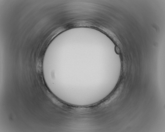 X0000113040897200910081208