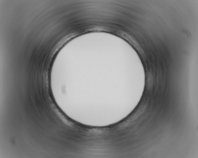 X0000113040898200910081208
