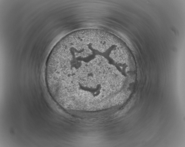 X0000113040899200910081208