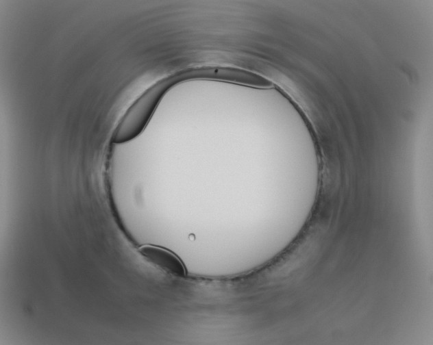 X0000113040901200910081208